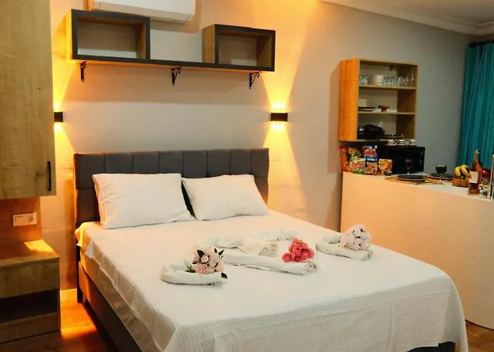 アパートホテル Old Town フェティエ